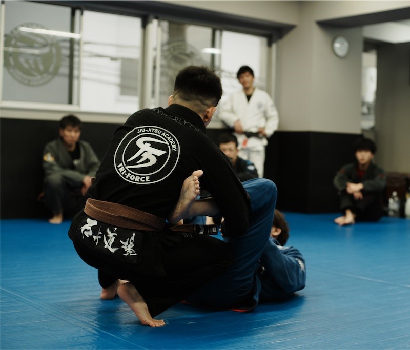 石井晴